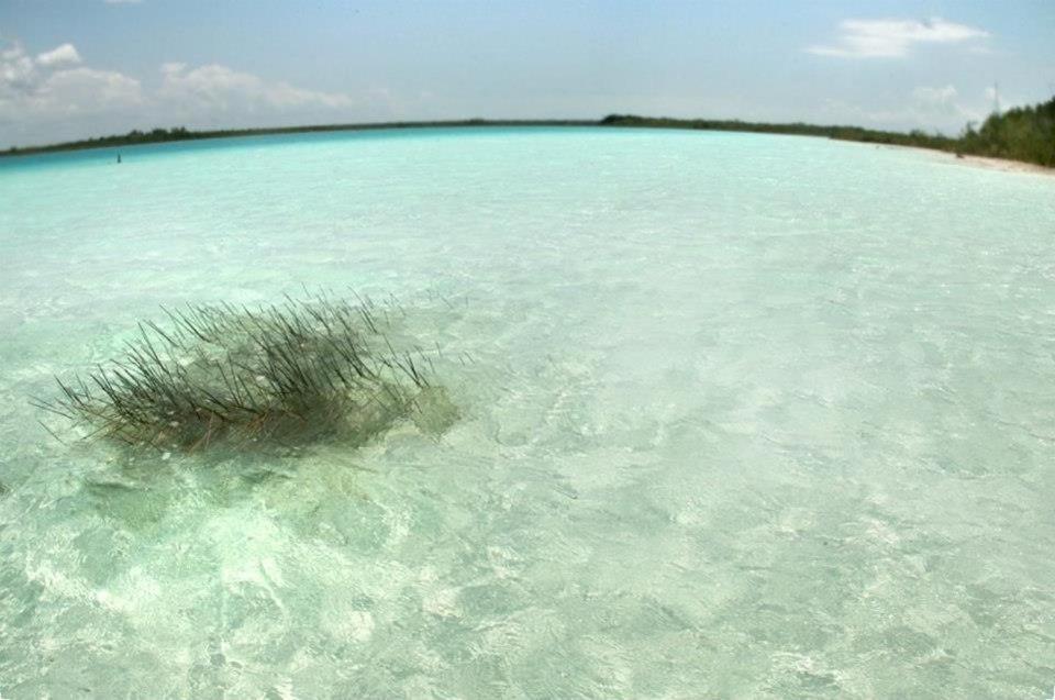 Casa China Bacalar Hotel Esterno foto